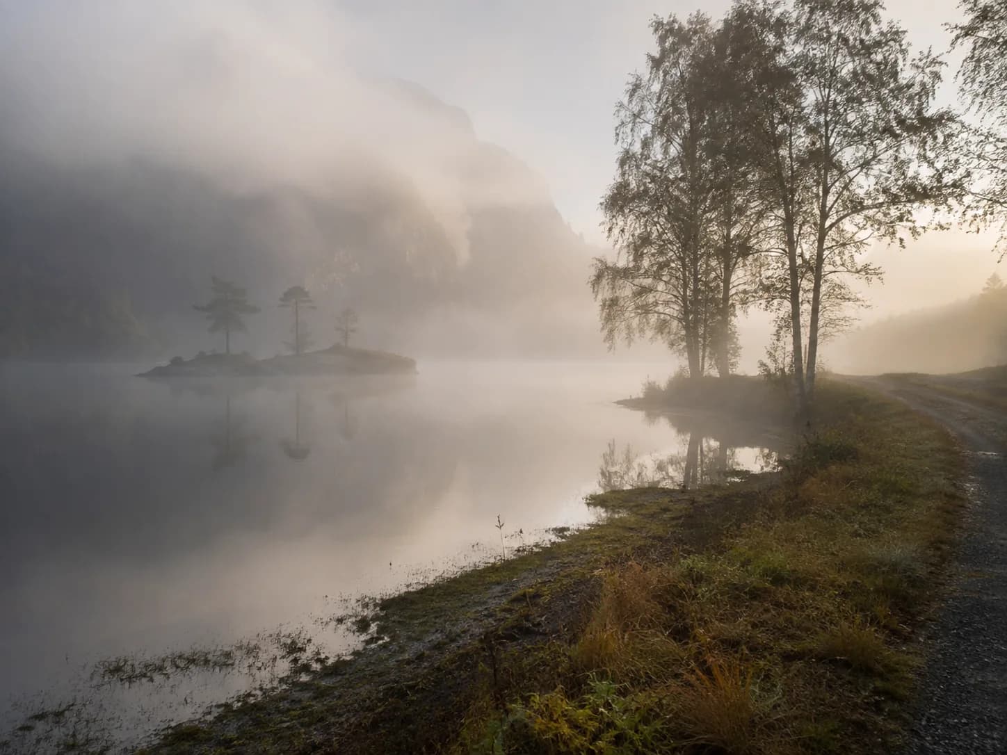Tåkete innsjølandskap med trær, en liten øy og fjell som gradvis forsvinner i disen.